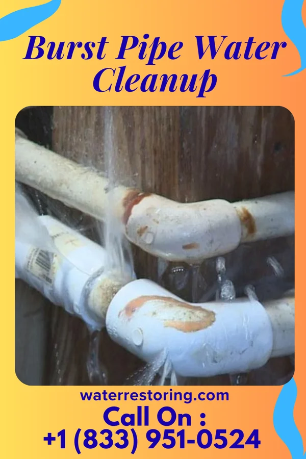 Burst Pipe Water Cleanup in Rochester, NY